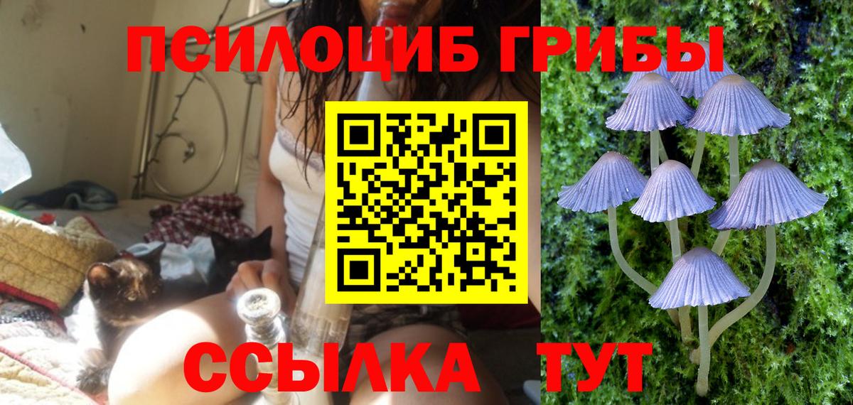Псилоцибиновые грибы Magic Shrooms  Вход с VPN  Псилоцибиновые грибы мухоморы  Славянск-на-Кубани 